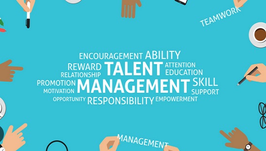 Talent Management And Career System