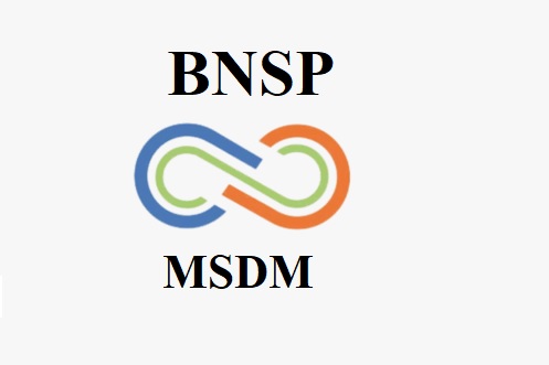 BNSP MSDM